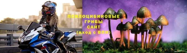 винт Абинск