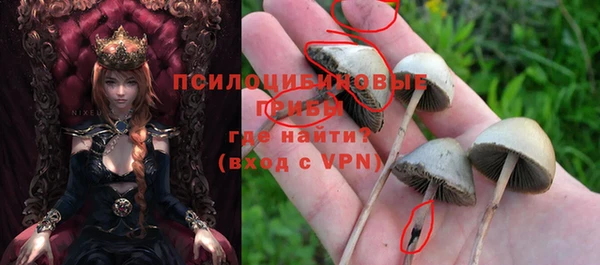 кокс Абдулино