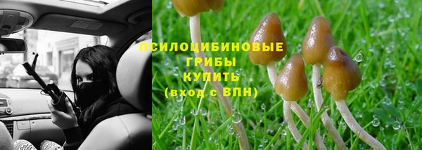 винт Абинск