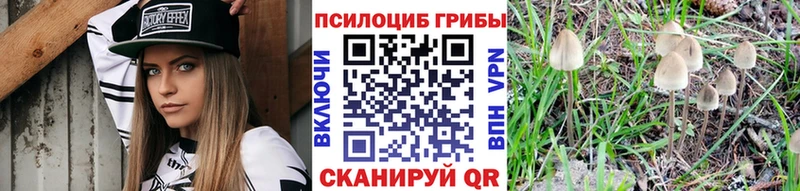 Галлюциногенные грибы MAGIC MUSHROOMS  Суоярви 